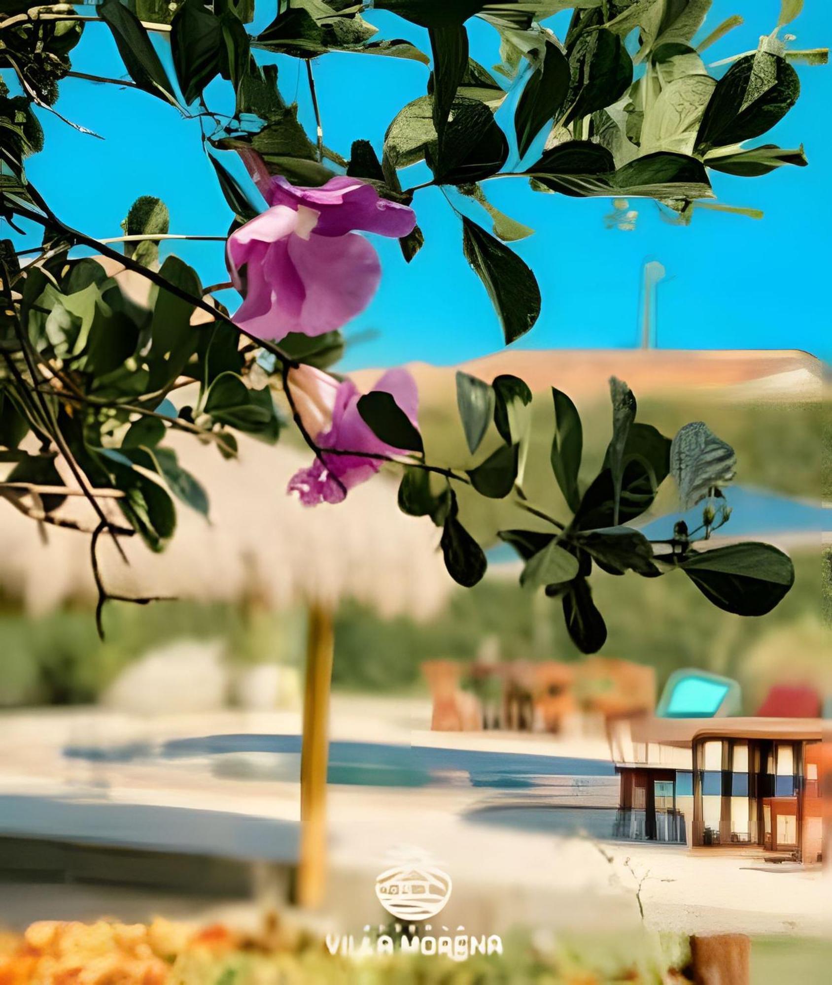 Pousada Villa Morena Pôrto de Pedras Εξωτερικό φωτογραφία