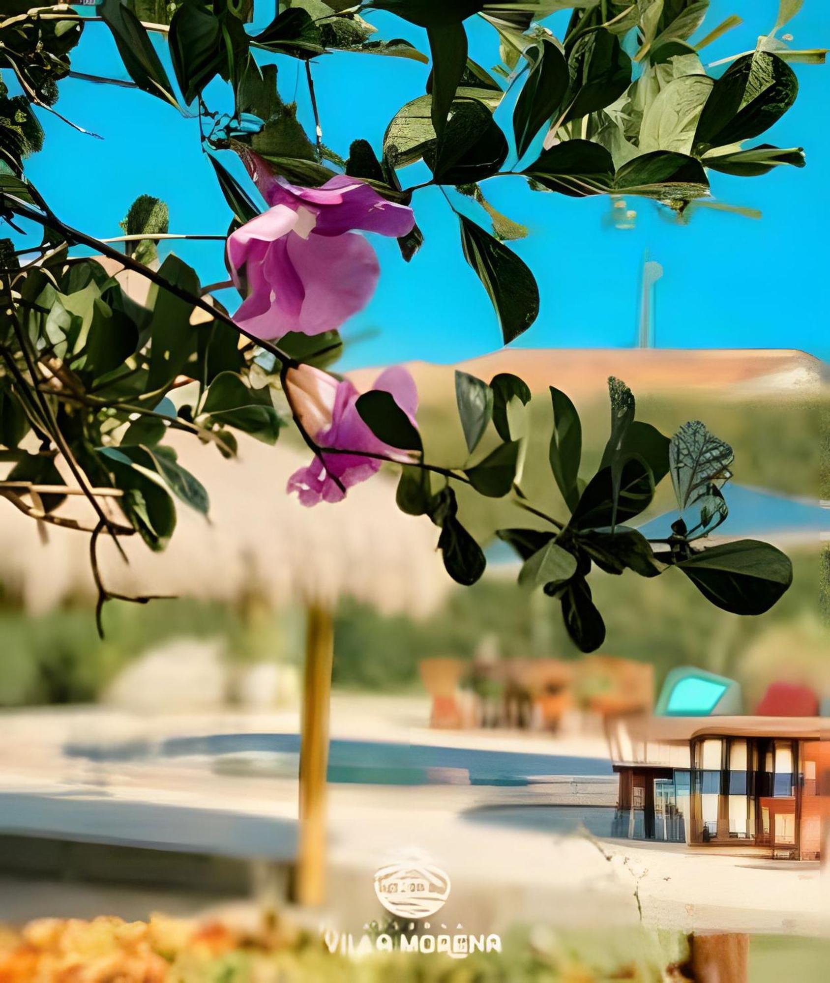 Pousada Villa Morena Pôrto de Pedras Εξωτερικό φωτογραφία